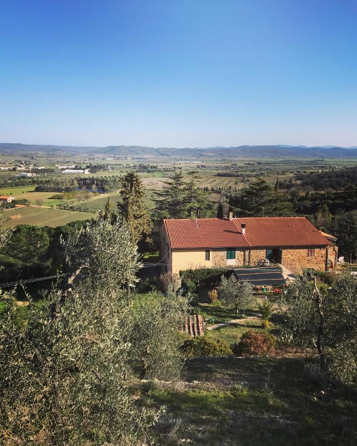 Podere Baloo Suvereto Exteriér fotografie