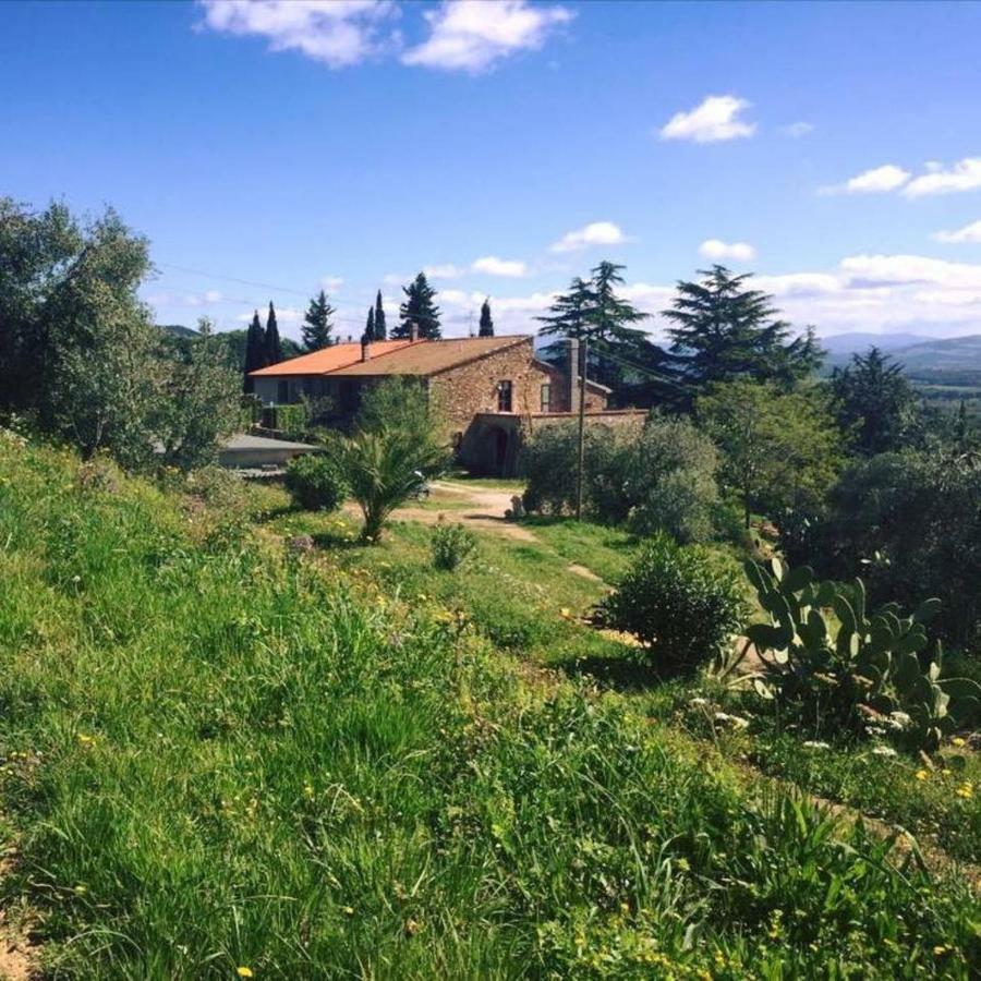 Podere Baloo Suvereto Exteriér fotografie